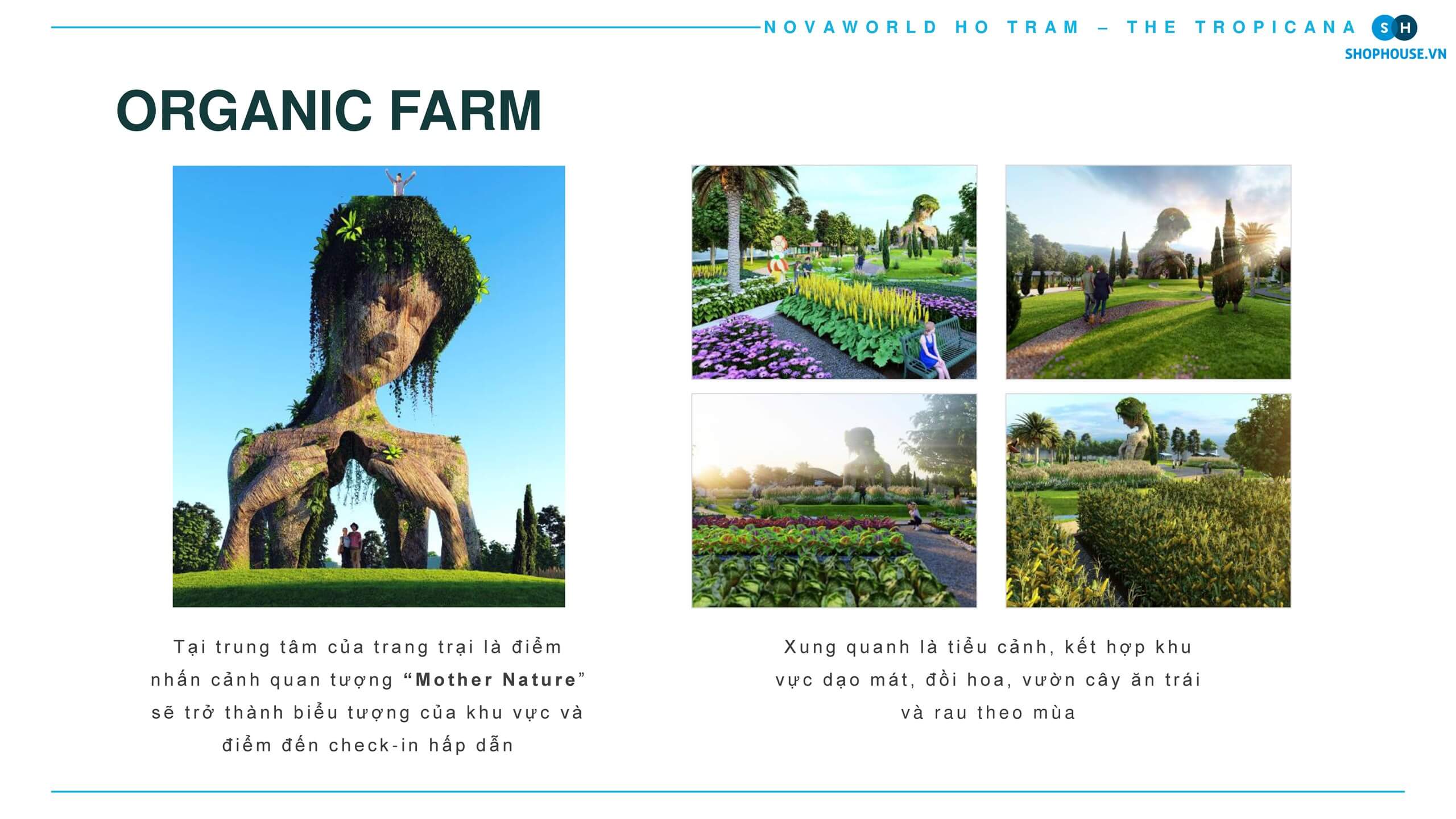 Organic-farm-novaworld-hp-tram