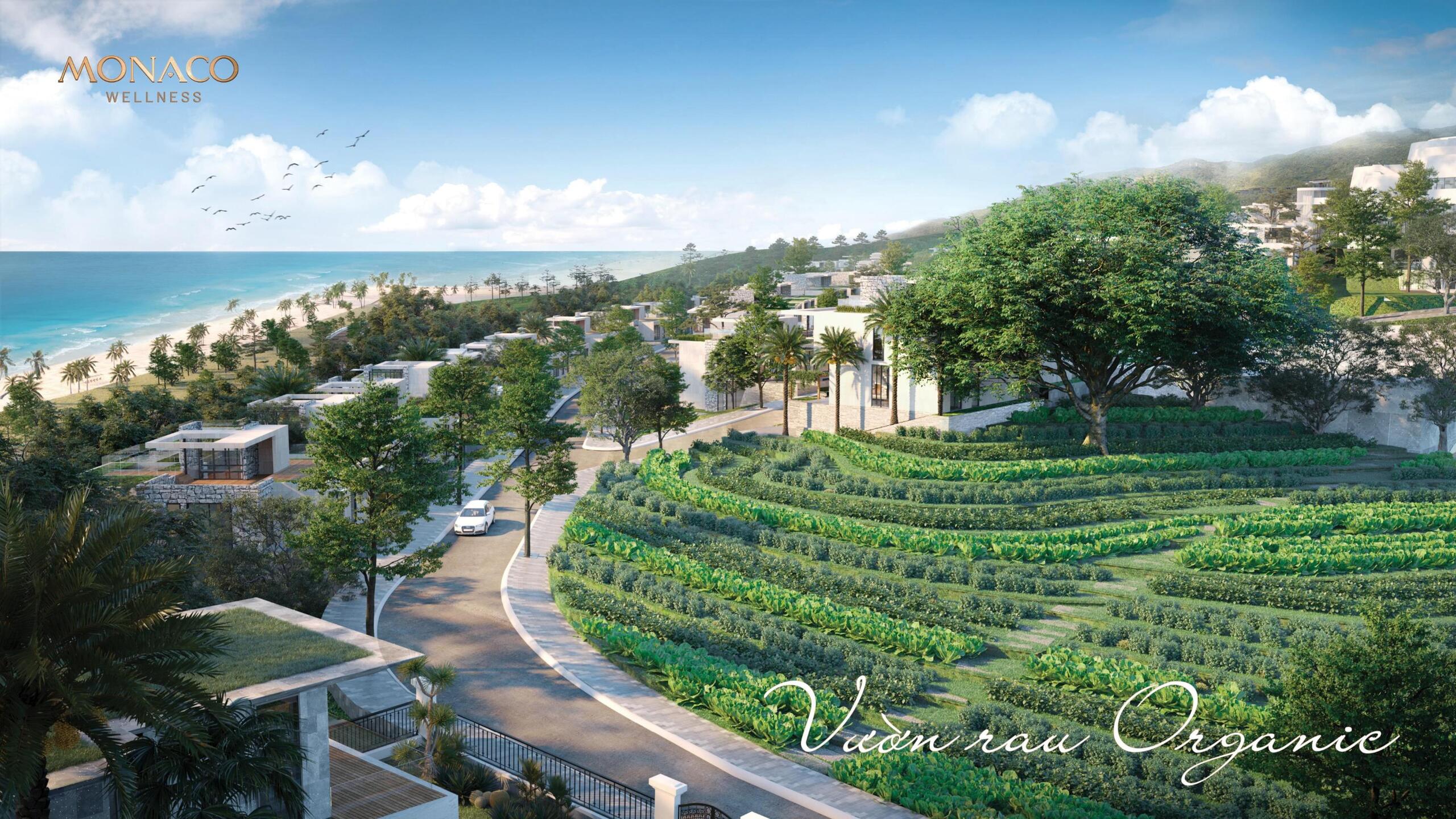 Vuon rau organic wellness monaco