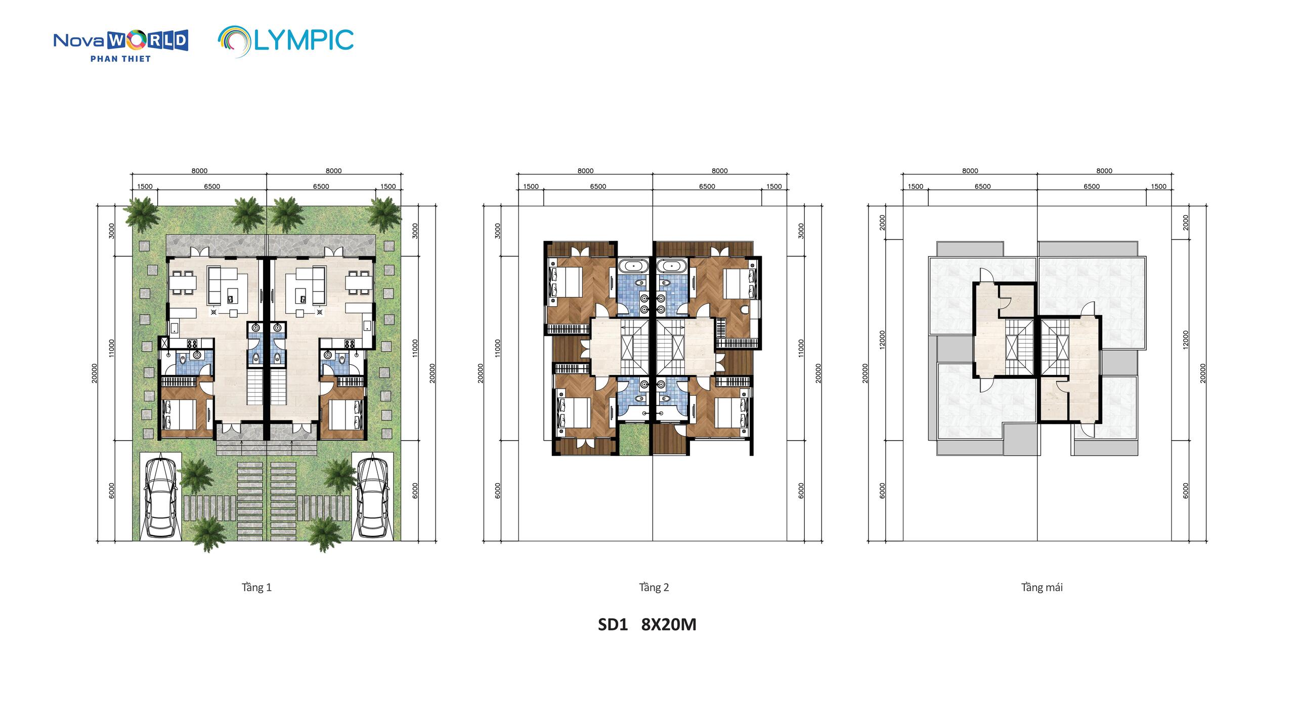 Thiết kế biệt thự olympic 8x20